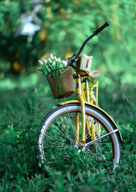 Why Every Cyclist Needs a Bicycle Basket Liner